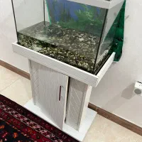 آکواریوم شرکتی اصل