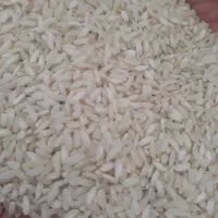 برنج لنجان و خرده دو قد|خوردنی و آشامیدنی|اصفهان, باغ فردوس|دیوار