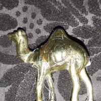 مجسمه برنجی شتر 10سانتی