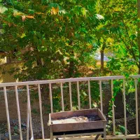 اجاره سویت سوئیت سوییت مبله کنار رودخانه|اجارهٔ کوتاه‌مدت آپارتمان و سوئیت|کوهسار (البرز), |دیوار