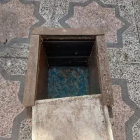 قفس 52 و لانه فنچ|لوازم جانبی حیوانات|شیراز, لشکری‎|دیوار