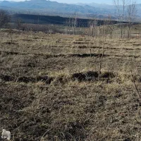 فروش باغ|فروش زمین و ملک کلنگی|مشگین شهر, |دیوار