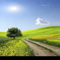 ۱۰۴ متر زمین در لالجین