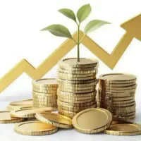 امور کافی نت بصورت آنلاین و حضوری