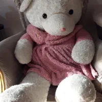 عروسک دخترانه