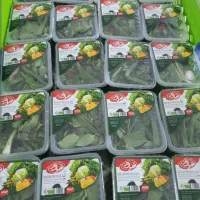 پخش سالاد فصل و سبزی/تالارها و مجموعه های غذایی|خدمات پذیرایی، مراسم|قم, حاج زینل|دیوار