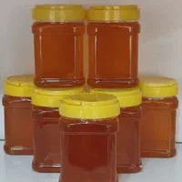 عسل طبیعی ۱کیلو