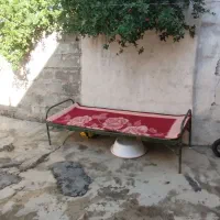 تخت حیاط