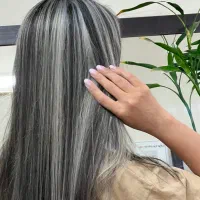 رنگ ولایت تخصصی