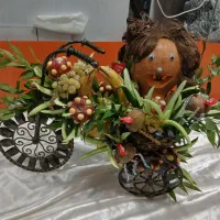 تزئینات شب یلدا وکرایه سبد وچیدمان لوازم یلدایی|خدمات پذیرایی، مراسم|تربت‌حیدریه, مسجد جامع|دیوار