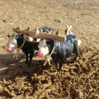 دکوری جفت گا|مجسمه، تندیس، ماکت|لردگان, |دیوار