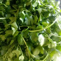 سبزی خورشتی خوردن همه روزه