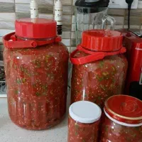 انواع ترشی، رب گوجه|خوردنی و آشامیدنی|شاهین‌شهر, نظامی|دیوار