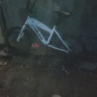 دوچرخه شانزده رنگ سفید