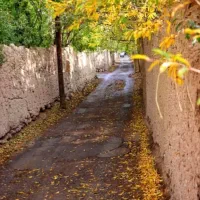 تور یزد گردی ، گردشگری و،،