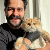 گربه بارون میو کده