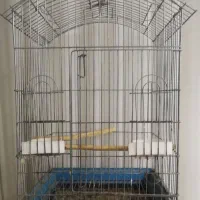 فروش قفس