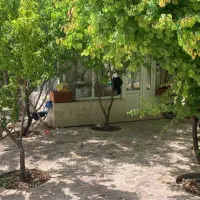 باغشهری گلبهار ویلا پردیس گرینلند صدرا|فروش خانه و ویلا|صدرا-فارس, باغشهر گلبهار صدرا|دیوار