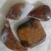 سنگ شجر|جواهرات|نجفآباد, امام خمینی|دیوار