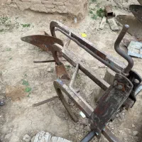 گاواهن۱۲ بلژیکی سالم