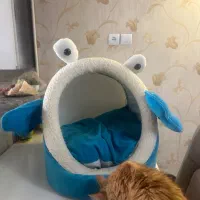 لونه گربه