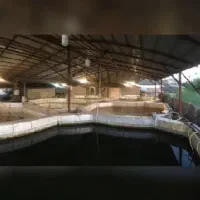 استخر-ماهی-و-خانه-ویلایی