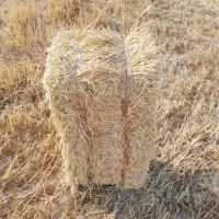 خریدار کلش پرس