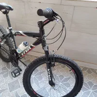 دوچرخه ویوا اصل تایوان