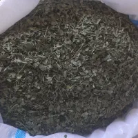 برگ شنبلیله خالص