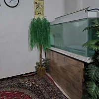 آکواریوم|ماهی|خرم‌آباد, |دیوار