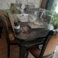 فروش میز غذاخوری