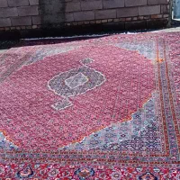 فرش|فرش|سقز, |دیوار