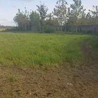 متراژ ۴۰۰ متر قیمت هر متر ۳۰۰۰مسکونی|فروش زمین و ملک کلنگی|تولم شهر, |دیوار