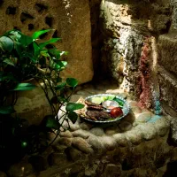 سالندار رستوران|استخدام خدمات فروشگاه و رستوران|شیراز, بازار|دیوار
