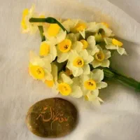 گواهینامه موتوربانام باقری درگنبدگم شده