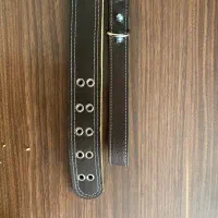 قلاده سگ و بند قلاده سگ