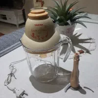 خرد کن تفال فرانسوی