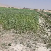 نیازمند کارگر