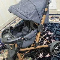 کریر و کالسکه دلیجان تمیز و درحد
