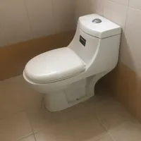 توالت فرنگی