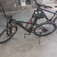 دوعدد دوچرخه ویوا
