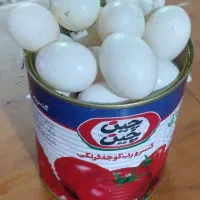 ۴۰عدد تخم کبوتر تازه