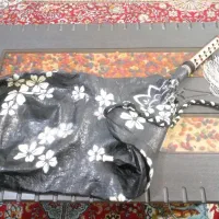 نی انبان حرفه ای