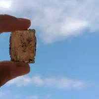 انگشتر شجر|جواهرات|کرمانشاه, |دیوار