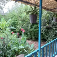 اجاره ویلا دربست