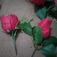 گل محمدی|گل مصنوعی|سنندج, |دیوار