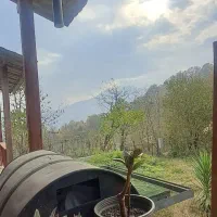 ادمین اینستاگرام دورکار