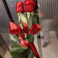 پوست مو زیبایی