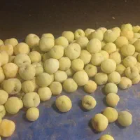 نگهبان در میوه فروشی