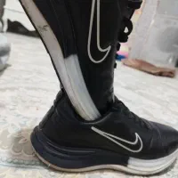 کفش مردانه|کیف، کفش، کمربند|مشهد, موعود|دیوار